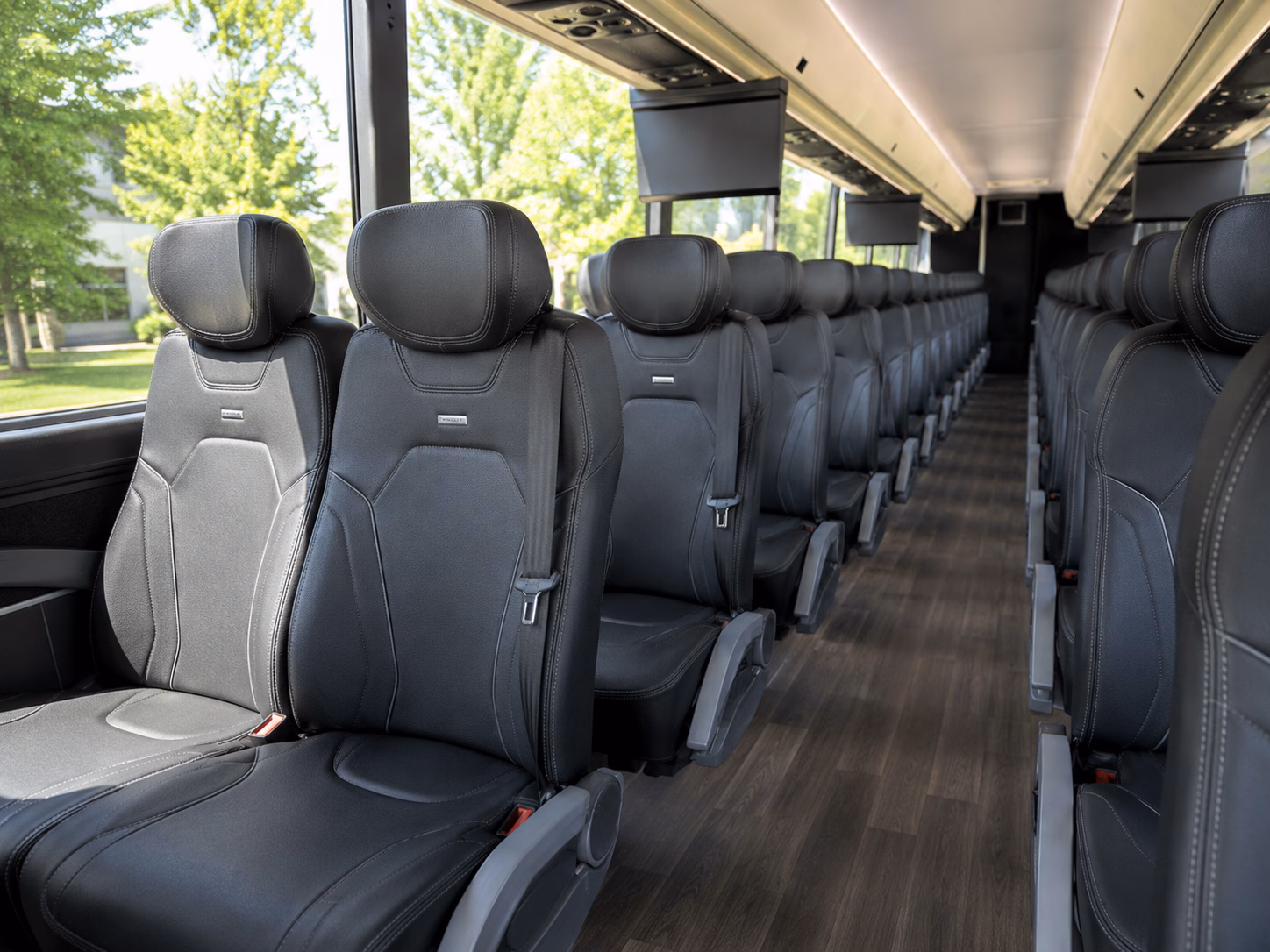 carrollton attend carrollton concerts with a charter bus rental